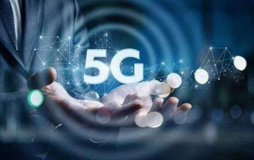 中國(guó)互聯(lián)網(wǎng)技術(shù)發(fā)展之路 自主創(chuàng)新與開放合作并進(jìn)